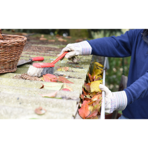 How to Protect Your Roof During Storm Season, roofing replacement, roofing repair, new roof, roofing repairing services