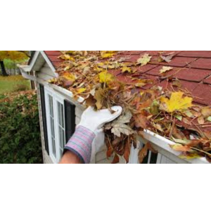 Seasonal Roof Maintenance: A Year-Round Guide. Metal vs Shingle Roofs: What’s Right for You? Roof in Asutin, Roofing in austin, Roofing repair, roof repair, roofing replacement, roofing services, metal roof, new roof, Which Type of Roof is Best for Austin Homes? Which Type of Roof is Best for Austin Homes? Hail Damage on Your Roof? Here’s What to Do Next. Roof repair, Roofing services, roof repair in austin, roofing replacement in austin, roofing in austin, new roof in austin , Roof repair