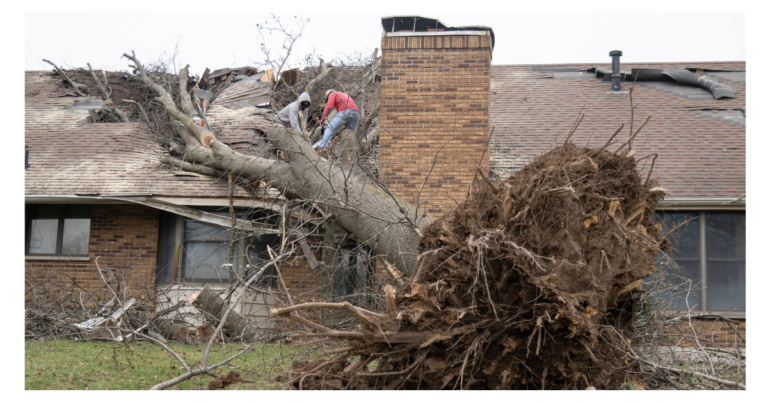 How Texas Weather Affects Your Roof Year-Round