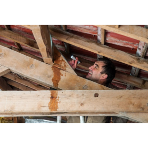 Is Roof Damage Covered by Homeowners Insurance? Is Roof Damage Covered by Homeowners Insurance? How Texas Weather Affects Your Roof Year-Round Seasonal Roof Maintenance: A Year-Round Guide. Metal vs Shingle Roofs: What’s Right for You? Roof in Asutin, Roofing in austin, Roofing repair, roof repair, roofing replacement, roofing services, metal roof, new roof, Which Type of Roof is Best for Austin Homes? Which Type of Roof is Best for Austin Homes? Hail Damage on Your Roof? Here’s What to Do Next. Roof repair, Roofing services, roof repair in austin, roofing replacement in austin, roofing in austin, new roof in austin , Roof repair The Roof Replacement Process: What Homeowners Should Know How to Choose a Trusted Roofing Contractor in Austin. How to Choose a Trusted Roofing Contractor in Austin. How to Choose a Trusted Roofing Contractor in Austin. How Texas Weather Affects Your Roof Year-Round. How Texas Weather Affects Your Roof Year-Round Top 5 Signs Your Roof Needs Immediate Repair Top 5 Signs Your Roof Needs Immediate Repair, Roof Inspection Checklist Every Homeowner Should Follow, Roof Inspection Checklist Every Homeowner Should Follow, The Best Time of Year to Replace Your Roof in Austin, How to Check for Roof Leaks Without Climbing a Ladder