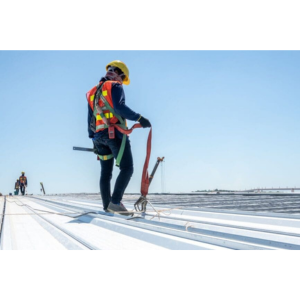 Is Roof Damage Covered by Homeowners Insurance? Is Roof Damage Covered by Homeowners Insurance? How Texas Weather Affects Your Roof Year-Round Seasonal Roof Maintenance: A Year-Round Guide. Metal vs Shingle Roofs: What’s Right for You? Roof in Asutin, Roofing in austin, Roofing repair, roof repair, roofing replacement, roofing services, metal roof, new roof, Which Type of Roof is Best for Austin Homes? Which Type of Roof is Best for Austin Homes? Hail Damage on Your Roof? Here’s What to Do Next. Roof repair, Roofing services, roof repair in austin, roofing replacement in austin, roofing in austin, new roof in austin , Roof repair The Roof Replacement Process: What Homeowners Should Know How to Choose a Trusted Roofing Contractor in Austin. How to Choose a Trusted Roofing Contractor in Austin. How to Choose a Trusted Roofing Contractor in Austin. How Texas Weather Affects Your Roof Year-Round. How Texas Weather Affects Your Roof Year-Round Top 5 Signs Your Roof Needs Immediate Repair Top 5 Signs Your Roof Needs Immediate Repair, Roof Inspection Checklist Every Homeowner Should Follow, Roof Inspection Checklist Every Homeowner Should Follow, The Best Time of Year to Replace Your Roof in Austin, How to Check for Roof Leaks Without Climbing a Ladder, Emergency Roof Repair: What to Do Right After a Storm? Emergency Roof Repair: What to Do Right After a Storm?


What’s Included in a Professional Roof Inspection?