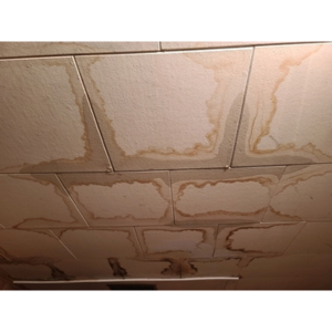 How Texas Weather Affects Your Roof Year-Round Seasonal Roof Maintenance: A Year-Round Guide. Metal vs Shingle Roofs: What’s Right for You? Roof in Asutin, Roofing in austin, Roofing repair, roof repair, roofing replacement, roofing services, metal roof, new roof, Which Type of Roof is Best for Austin Homes? Which Type of Roof is Best for Austin Homes? Hail Damage on Your Roof? Here’s What to Do Next. Roof repair, Roofing services, roof repair in austin, roofing replacement in austin, roofing in austin, new roof in austin , Roof repair The Roof Replacement Process: What Homeowners Should Know How to Choose a Trusted Roofing Contractor in Austin. How to Choose a Trusted Roofing Contractor in Austin. How to Choose a Trusted Roofing Contractor in Austin. How Texas Weather Affects Your Roof Year-Round. How Texas Weather Affects Your Roof Year-Round
