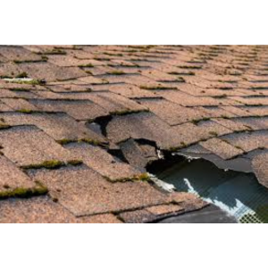 How Texas Weather Affects Your Roof Year-Round Seasonal Roof Maintenance: A Year-Round Guide. Metal vs Shingle Roofs: What’s Right for You? Roof in Asutin, Roofing in austin, Roofing repair, roof repair, roofing replacement, roofing services, metal roof, new roof, Which Type of Roof is Best for Austin Homes? Which Type of Roof is Best for Austin Homes? Hail Damage on Your Roof? Here’s What to Do Next. Roof repair, Roofing services, roof repair in austin, roofing replacement in austin, roofing in austin, new roof in austin , Roof repair The Roof Replacement Process: What Homeowners Should Know How to Choose a Trusted Roofing Contractor in Austin. How to Choose a Trusted Roofing Contractor in Austin. How to Choose a Trusted Roofing Contractor in Austin. How Texas Weather Affects Your Roof Year-Round. How Texas Weather Affects Your Roof Year-Round
