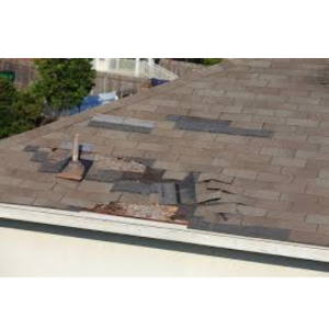 How Texas Weather Affects Your Roof Year-Round Seasonal Roof Maintenance: A Year-Round Guide. Metal vs Shingle Roofs: What’s Right for You? Roof in Asutin, Roofing in austin, Roofing repair, roof repair, roofing replacement, roofing services, metal roof, new roof, Which Type of Roof is Best for Austin Homes? Which Type of Roof is Best for Austin Homes? Hail Damage on Your Roof? Here’s What to Do Next. Roof repair, Roofing services, roof repair in austin, roofing replacement in austin, roofing in austin, new roof in austin , Roof repair The Roof Replacement Process: What Homeowners Should Know How to Choose a Trusted Roofing Contractor in Austin. How to Choose a Trusted Roofing Contractor in Austin. How to Choose a Trusted Roofing Contractor in Austin. How Texas Weather Affects Your Roof Year-Round. How Texas Weather Affects Your Roof Year-Round
Top 5 Signs Your Roof Needs Immediate Repair

Top 5 Signs Your Roof Needs Immediate Repair

