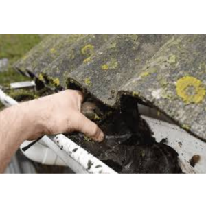 Top 5 Signs Your Roof Needs Immediate Repair
How Texas Weather Affects Your Roof Year-Round Seasonal Roof Maintenance: A Year-Round Guide. Metal vs Shingle Roofs: What’s Right for You? Roof in Asutin, Roofing in austin, Roofing repair, roof repair, roofing replacement, roofing services, metal roof, new roof, Which Type of Roof is Best for Austin Homes? Which Type of Roof is Best for Austin Homes? Hail Damage on Your Roof? Here’s What to Do Next. Roof repair, Roofing services, roof repair in austin, roofing replacement in austin, roofing in austin, new roof in austin , Roof repair The Roof Replacement Process: What Homeowners Should Know How to Choose a Trusted Roofing Contractor in Austin. How to Choose a Trusted Roofing Contractor in Austin. How to Choose a Trusted Roofing Contractor in Austin. How Texas Weather Affects Your Roof Year-Round. How Texas Weather Affects Your Roof Year-Round

