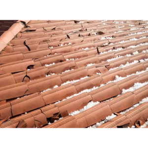 Why Regular Roof Maintenance Can Save You Thousands, Is Roof Damage Covered by Homeowners Insurance? Is Roof Damage Covered by Homeowners Insurance? How Texas Weather Affects Your Roof Year-Round Seasonal Roof Maintenance: A Year-Round Guide. Metal vs Shingle Roofs: What’s Right for You? Roof in Asutin, Roofing in austin, Roofing repair, roof repair, roofing replacement, roofing services, metal roof, new roof, Which Type of Roof is Best for Austin Homes? Which Type of Roof is Best for Austin Homes? Hail Damage on Your Roof? Here’s What to Do Next. Roof repair, Roofing services, roof repair in austin, roofing replacement in austin, roofing in austin, new roof in austin , Roof repair The Roof Replacement Process: What Homeowners Should Know How to Choose a Trusted Roofing Contractor in Austin. How to Choose a Trusted Roofing Contractor in Austin. How to Choose a Trusted Roofing Contractor in Austin. How Texas Weather Affects Your Roof Year-Round. How Texas Weather Affects Your Roof Year-Round Top 5 Signs Your Roof Needs Immediate Repair Top 5 Signs Your Roof Needs Immediate Repair, Roof Inspection Checklist Every Homeowner Should Follow, Roof Inspection Checklist Every Homeowner Should Follow, The Best Time of Year to Replace Your Roof in Austin, How to Check for Roof Leaks Without Climbing a Ladder, Emergency Roof Repair: What to Do Right After a Storm? Emergency Roof Repair: What to Do Right After a Storm? What’s Included in a Professional Roof Inspection? How Austin Weather Affects Your Roof Year-Round Storm-Proofing Your Roof: What Austin Homeowners Must Know, Storm-Proofing Your Roof: What Austin Homeowners Must Know Shingle vs. Metal Roofing: Which Is Better for Texas Homes? Why Your Roof Warranty Might Be Useless (If You Ignore This One Step), How Solar Panels Impact Your Roof—What Every Homeowner Should Know Austin's Most Common Roofing Issues by Neighborhood