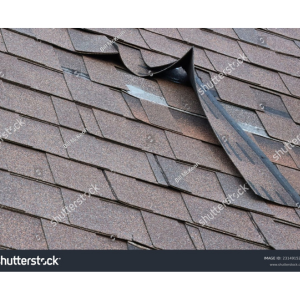 Why Regular Roof Maintenance Can Save You Thousands, Is Roof Damage Covered by Homeowners Insurance? Is Roof Damage Covered by Homeowners Insurance? How Texas Weather Affects Your Roof Year-Round Seasonal Roof Maintenance: A Year-Round Guide. Metal vs Shingle Roofs: What’s Right for You? Roof in Asutin, Roofing in austin, Roofing repair, roof repair, roofing replacement, roofing services, metal roof, new roof, Which Type of Roof is Best for Austin Homes? Which Type of Roof is Best for Austin Homes? Hail Damage on Your Roof? Here’s What to Do Next. Roof repair, Roofing services, roof repair in austin, roofing replacement in austin, roofing in austin, new roof in austin , Roof repair The Roof Replacement Process: What Homeowners Should Know How to Choose a Trusted Roofing Contractor in Austin. How to Choose a Trusted Roofing Contractor in Austin. How to Choose a Trusted Roofing Contractor in Austin. How Texas Weather Affects Your Roof Year-Round. How Texas Weather Affects Your Roof Year-Round Top 5 Signs Your Roof Needs Immediate Repair Top 5 Signs Your Roof Needs Immediate Repair, Roof Inspection Checklist Every Homeowner Should Follow, Roof Inspection Checklist Every Homeowner Should Follow, The Best Time of Year to Replace Your Roof in Austin, How to Check for Roof Leaks Without Climbing a Ladder, Emergency Roof Repair: What to Do Right After a Storm? Emergency Roof Repair: What to Do Right After a Storm? What’s Included in a Professional Roof Inspection? How Austin Weather Affects Your Roof Year-Round Storm-Proofing Your Roof: What Austin Homeowners Must Know, Storm-Proofing Your Roof: What Austin Homeowners Must Know Shingle vs. Metal Roofing: Which Is Better for Texas Homes? Why Your Roof Warranty Might Be Useless (If You Ignore This One Step), How Solar Panels Impact Your Roof—What Every Homeowner Should Know Austin's Most Common Roofing Issues by Neighborhood